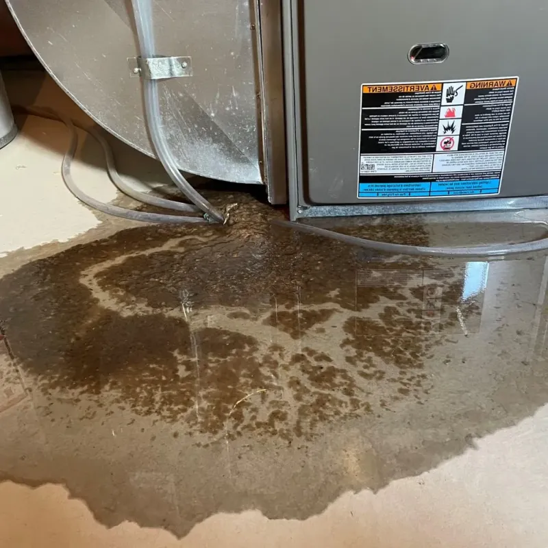 Pipe Burst and Leak Restoration in Gwinnett County, GA